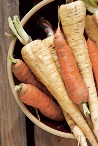 A Traditional Foods Movement: The Balance of Healthy Eating